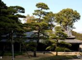日本江户城旅游攻略 之 皇宫