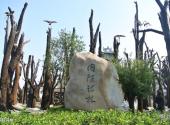 安徽五千年文博园旅游攻略 之 国际诗林