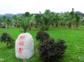广元平乐旅游区旅游攻略 之 棕榈园