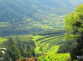 江西婺源风景区旅游攻略 之 江岭