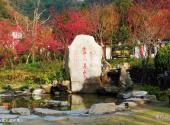 庐山天沐温泉度假村旅游攻略 之 露天温泉池
