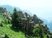 宁武管涔山国家森林公园旅游攻略 之 石栅马桩