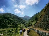 新兴广东天露山旅游度假区旅游攻略 之 原始森林