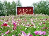 青海茶卡盐湖旅游攻略 之 茶卡盐湖