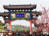 滨州邹平樱花山风景区旅游攻略 之 邹平樱花山