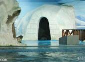 青岛水族馆旅游攻略 之 斑海豹