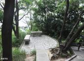珠海板樟山森林公园旅游攻略 之 休息平台