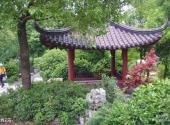 桐乡福严寺旅游攻略 之 绉云石