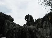 昆明石林风景区旅游攻略 之 象踞石台