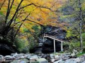 汉中黎坪风景区旅游攻略 之 红尘峡