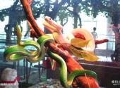 大连旅顺蛇博物馆旅游攻略 之 绿树蟒和缅甸蟒