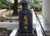 汕尾海丰莲花山度假村旅游攻略 之 龙须水