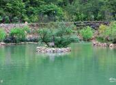 南平邵武云灵山旅游景区旅游攻略 之 自然