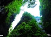 商洛金丝大峡谷国家森林公园旅游攻略 之 神鞭峰