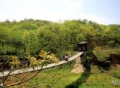 驻马店金顶山风景区旅游攻略 之 吊桥