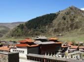 甘孜塔公草原旅游攻略 之 后院