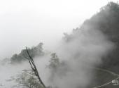 什邡蓥华山风景区旅游攻略 之 雾海