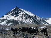 黑河山口湖风景区旅游攻略 之 青山