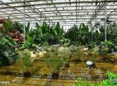 西安沣东现代都市农业博览园旅游攻略 之 南方植物馆