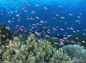 秦皇岛新澳海底世界旅游攻略 之 水族馆