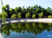 铁岭市九鼎龙泉寺旅游风景区旅游攻略 之 放生池