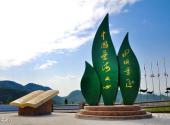 遵义凤冈茶海之心景区旅游攻略 之 茶海之心