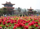 洛阳市中国国花园景区旅游攻略 之 姚黄阁