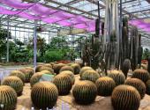 西安沣东现代都市农业博览园旅游攻略 之 植物