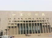 山东省博物馆旅游攻略 之 博物馆