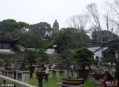 苏州园林虎丘旅游攻略 之 万景山庄