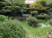 亳州古井酒文化博览园旅游攻略 之 园林