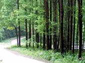 龙里猴子沟风景区旅游攻略 之 峡谷