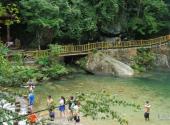 融水元宝山龙女沟旅游攻略 之 栈道