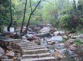 信阳灵山风景名胜区旅游攻略 之 龙凤祥林景区