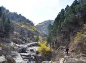 莱芜莲花山风景区旅游攻略 之 景区