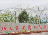 农垦北大荒农机博览园旅游攻略 之 北大荒农机博览园