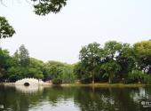 安庆菱湖风景区旅游攻略 之 湖泊