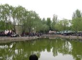 宁夏银川中山公园旅游攻略 之 垂钓