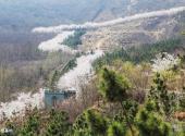 滨州邹平樱花山风景区旅游攻略 之 赏樱基地