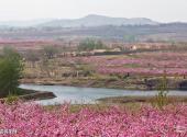 安丘辉渠百泉旅游区旅游攻略 之 万亩桃花园