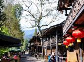 雅安上里古镇旅游攻略 之 上里