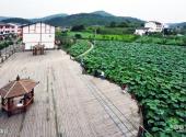 广元平乐旅游区旅游攻略 之 观莲台