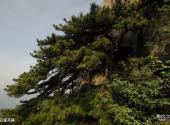 岳西妙道山风景区旅游攻略 之 孔雀开屏