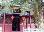 江西龙虎山风景旅游区旅游攻略 之 真武殿