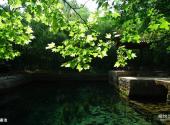 临朐老龙湾旅游攻略 之 秦池