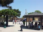 日本国营日立海滨公园旅游攻略 之 休闲区