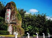 雁南飞茶田度假村旅游攻略 之 雁南飞神石