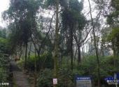 重庆白公馆旅游攻略 之 松林坡