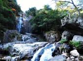 江西婺源风景区旅游攻略 之 大鄣山卧龙谷