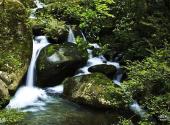 宜丰洞山风景名胜区旅游攻略 之 溪流